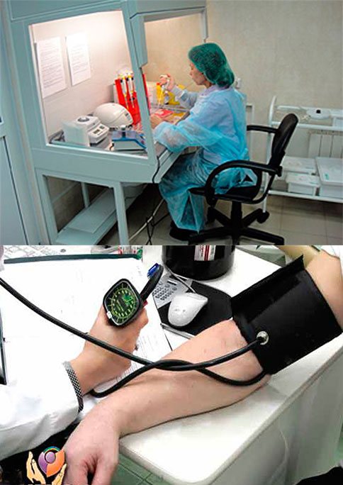 диагностика организма